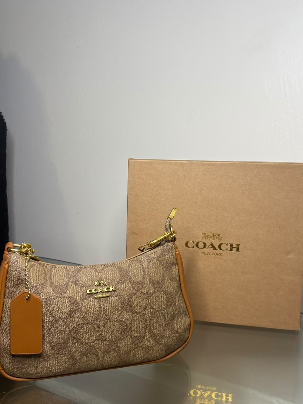 Coach Signature Canvas Mini Shoulder Bag in Tan and Brown
